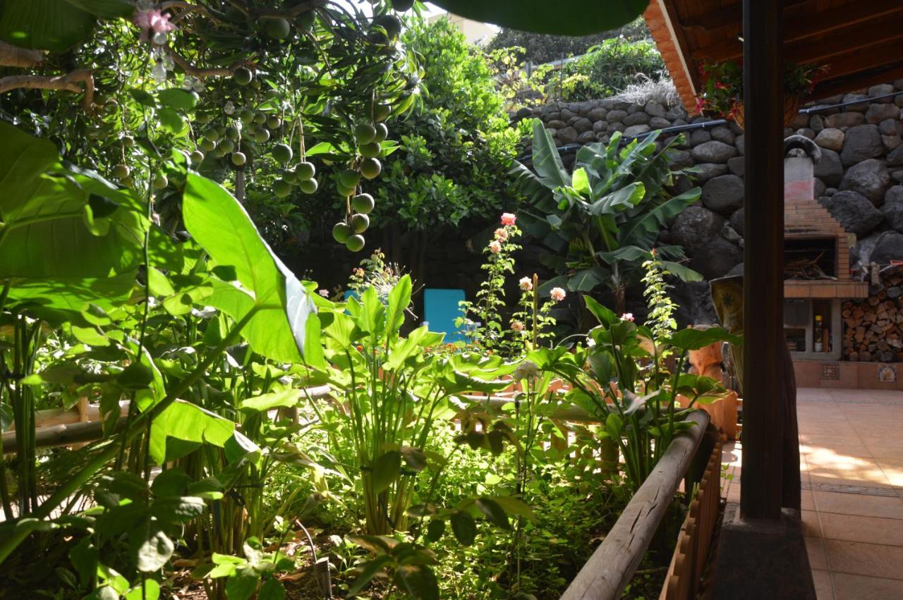 Holiday House Tia Lila San Sebastian De La Gomera Bagian luar foto